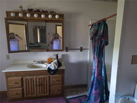 Tiny photo for 6854 County Road 3, Swanton, OH 43558 (MLS # 6136644)