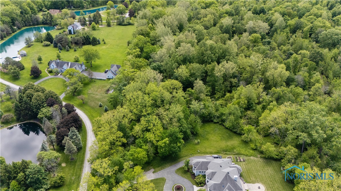7901 Brint Road, Sylvania, Ohio image 1