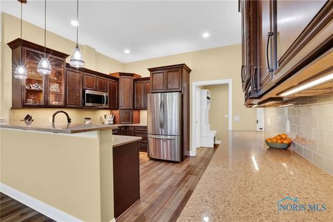 Tiny photo for 6935 Big Buck Trail, Whitehouse, OH 43571 (MLS # 6136796)