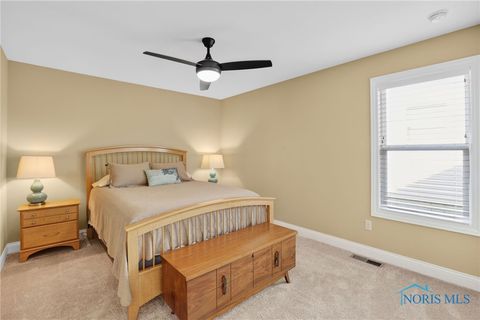 Tiny photo for 6935 Big Buck Trail, Whitehouse, OH 43571 (MLS # 6136796)