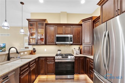 Tiny photo for 6935 Big Buck Trail, Whitehouse, OH 43571 (MLS # 6136796)