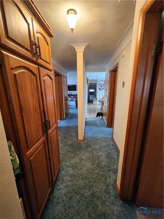 304 Gove Street, Columbus Grove, Ohio image 12