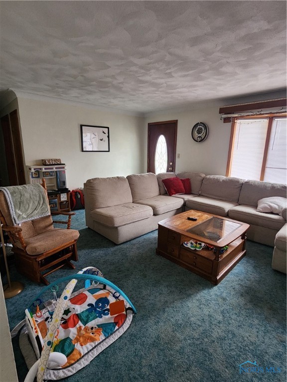 304 Gove Street, Columbus Grove, Ohio image 5