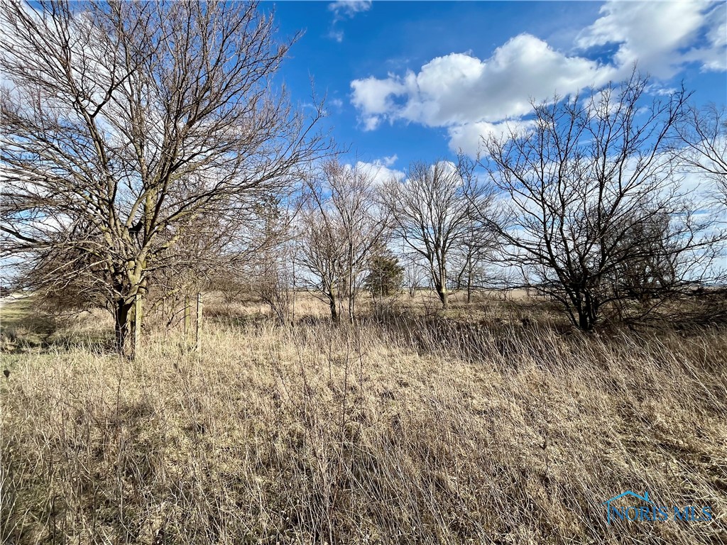 12495 Road 51, Antwerp, Ohio image 6