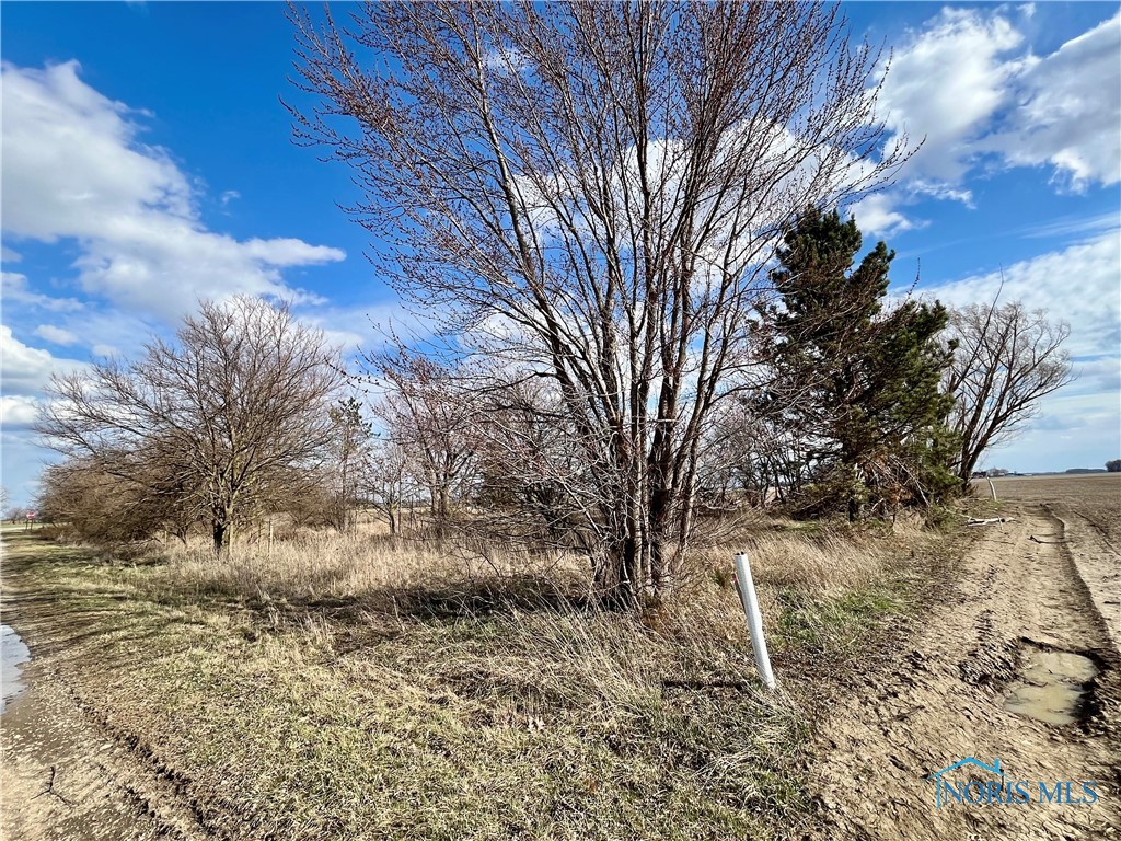 12495 Road 51, Antwerp, Ohio image 7