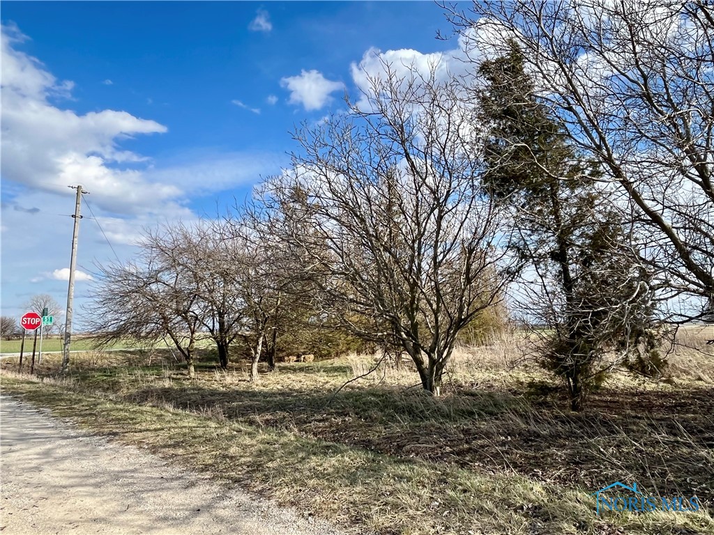 12495 Road 51, Antwerp, Ohio image 3