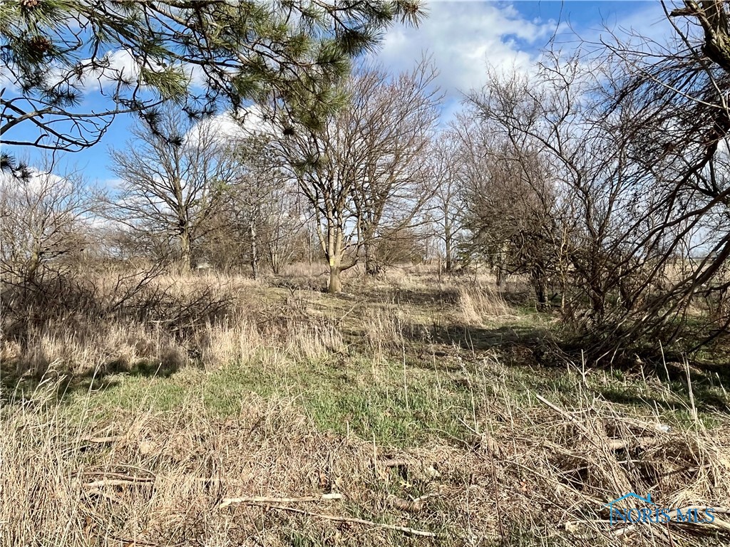 12495 Road 51, Antwerp, Ohio image 8