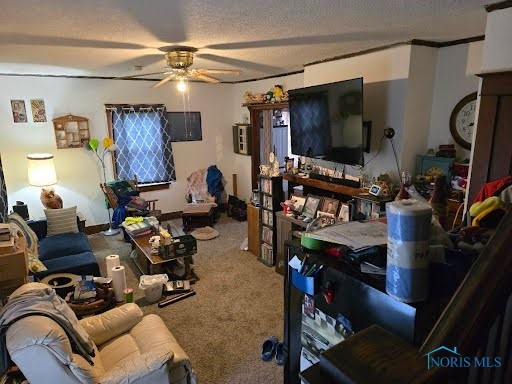 136 E Oconnor Avenue, Lima, Ohio image 12