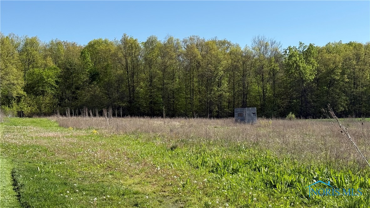 16820 Gipe Road, Ney, Ohio image 6
