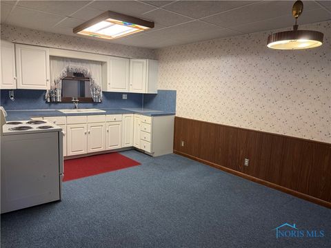 Tiny photo for 6111 Meteor Avenue, Toledo, OH 43623 (MLS # 6136777)