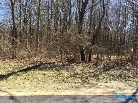 Photo of 12257 Harriet Road, Swanton, OH 43558 (MLS # 6134791)