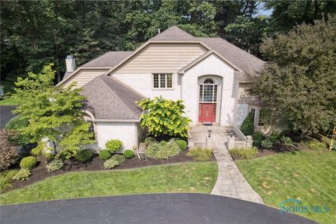 Photo of 4816 Sunwood Drive, Toledo, OH 43623 (MLS # 6136051)