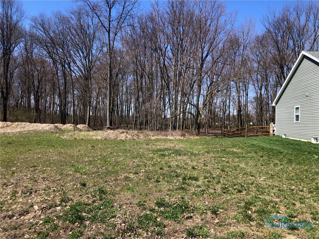 7018 Red Stag Court, Whitehouse, Ohio image 1