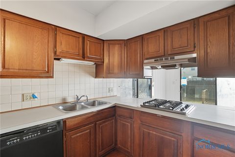 Tiny photo for 716 Farrer Street, Maumee, OH 43537 (MLS # 6136251)
