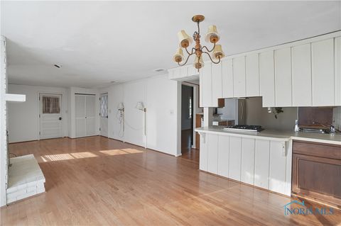 Tiny photo for 716 Farrer Street, Maumee, OH 43537 (MLS # 6136251)