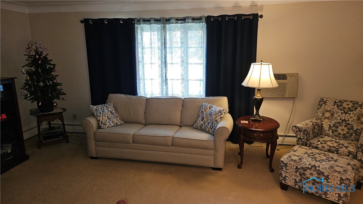 605 Riverside Drive, Woodville, Ohio image 29