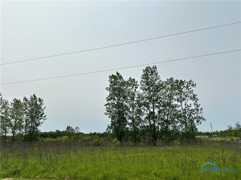 Road 191, Defiance, Ohio image 6