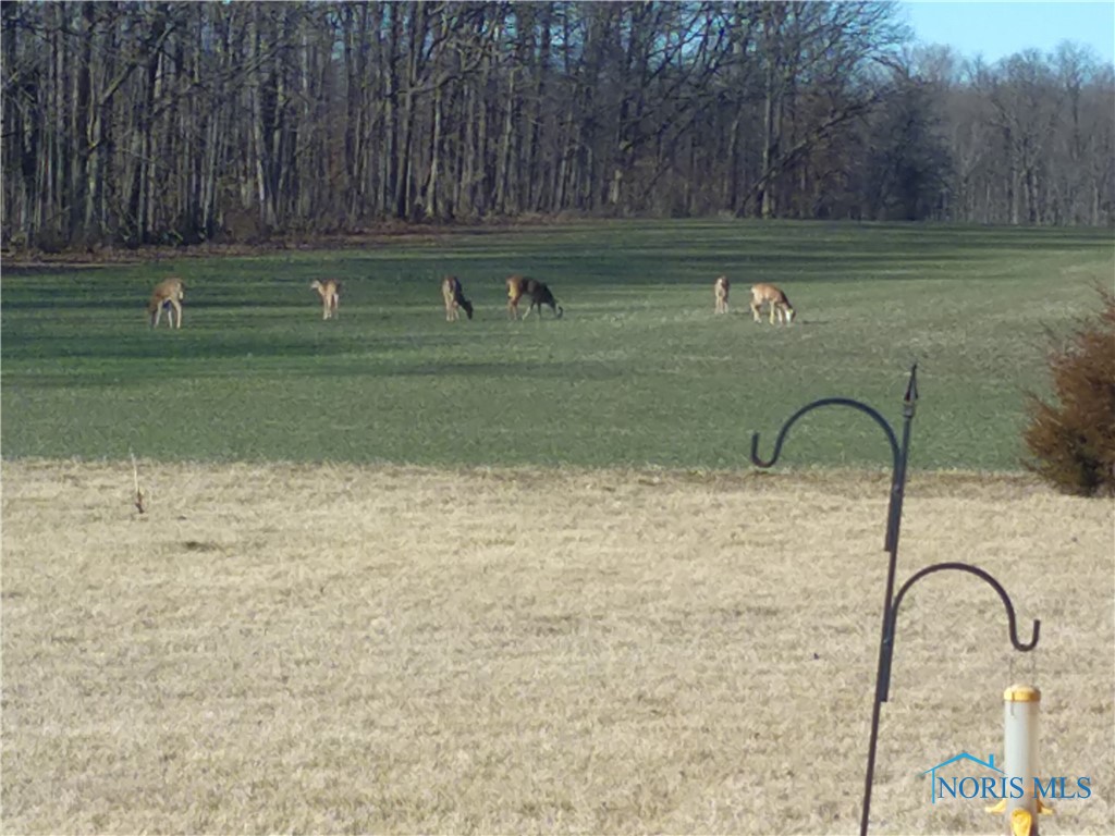 09701 County Road 16, Bryan, Ohio image 9