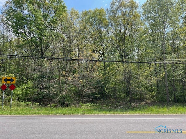 10637 Old State Line Road, Swanton, Ohio image 1