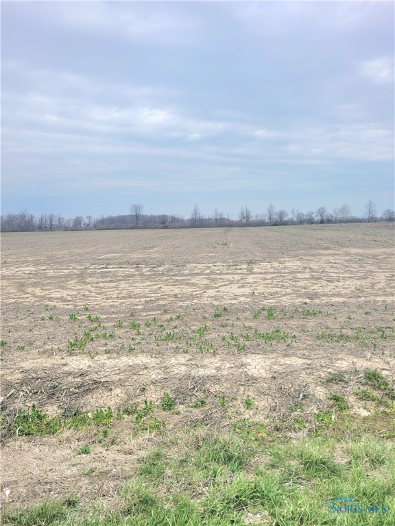 19481 W. Walbridge East Road, Martin, Ohio image 3