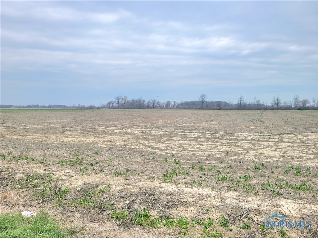 19481 W. Walbridge East Road, Martin, Ohio image 2