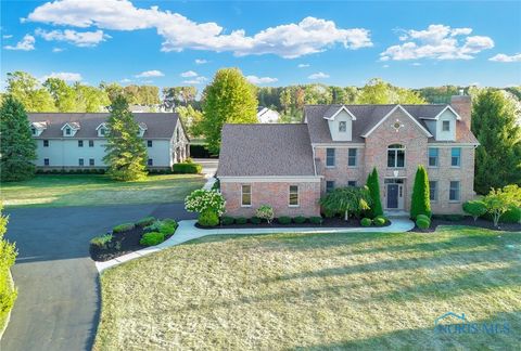 Photo of 8251 Stitt Road, Monclova, OH 43542 (MLS # 6136867)