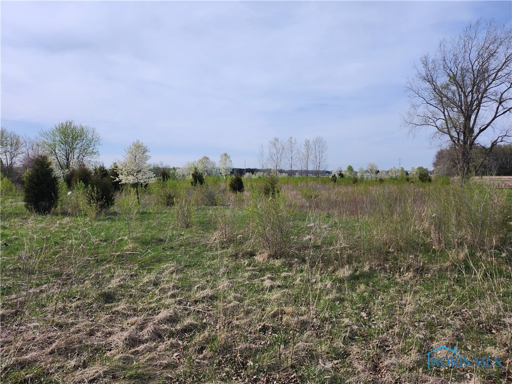 11500 Stiles Road, Whitehouse, Ohio image 3