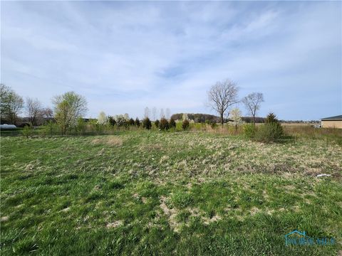 Vacant Land For Sale - 11500 Stiles Road<br/> Lucas County, Whitehouse, OH 43571
