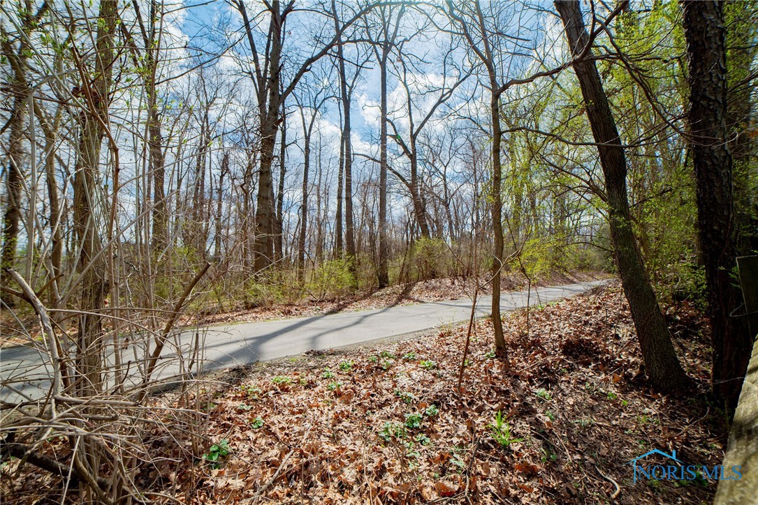 6975 Ramblehurst Road, Sylvania, Ohio image 33