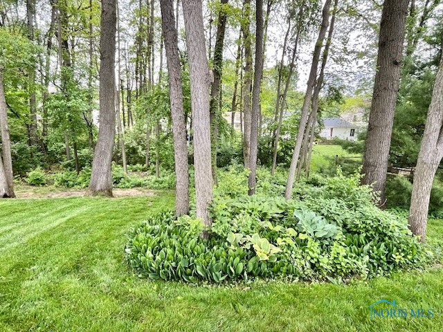 7118 Timber Ridge Court, Sylvania, Ohio image 29