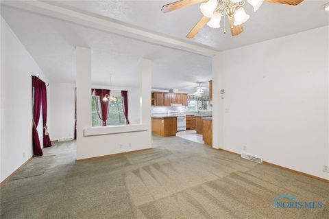 Tiny photo for 208 Co. Rd. 5 B, Liberty Center, OH 43532 (MLS # 6136410)
