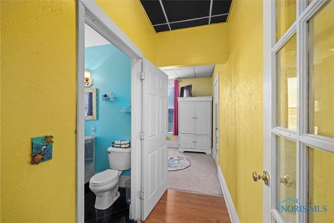 Tiny photo for 3893 County Road L, Swanton, OH 43558 (MLS # 6136449)