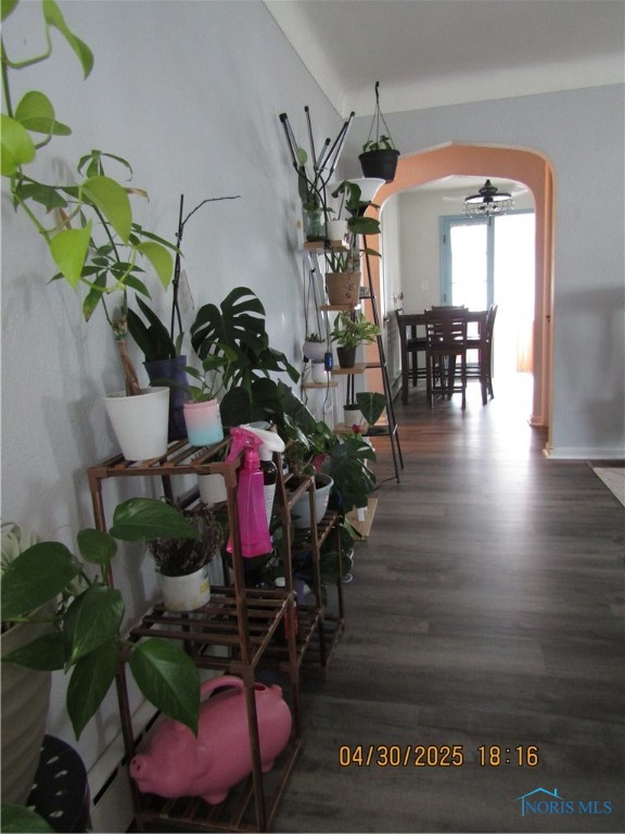 4141 Douglas Road, Toledo, Ohio image 12