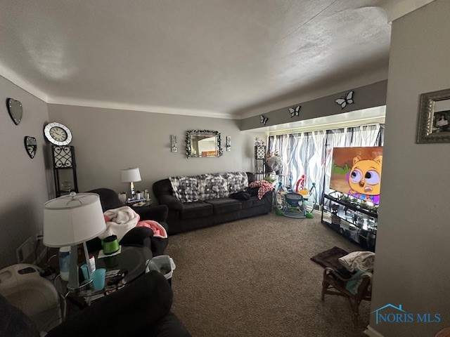 875 Wright Avenue, Toledo, Ohio image 3