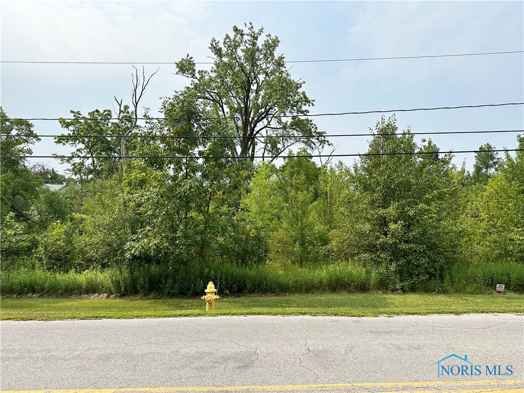 Mandell Lot 1 Road, Perrysburg, Ohio image 3