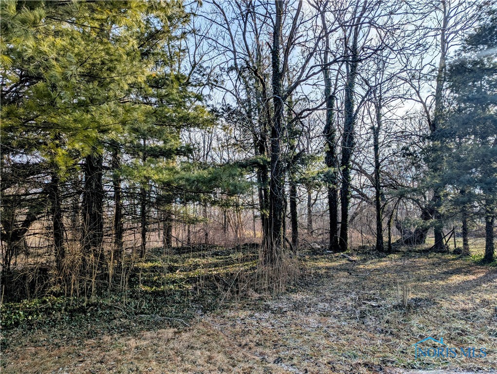 315 Walnut Street, Risingsun, Ohio image 6