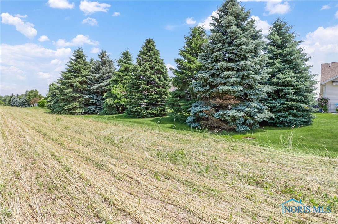 26347 W Wexford Drive, Perrysburg, Ohio image 32