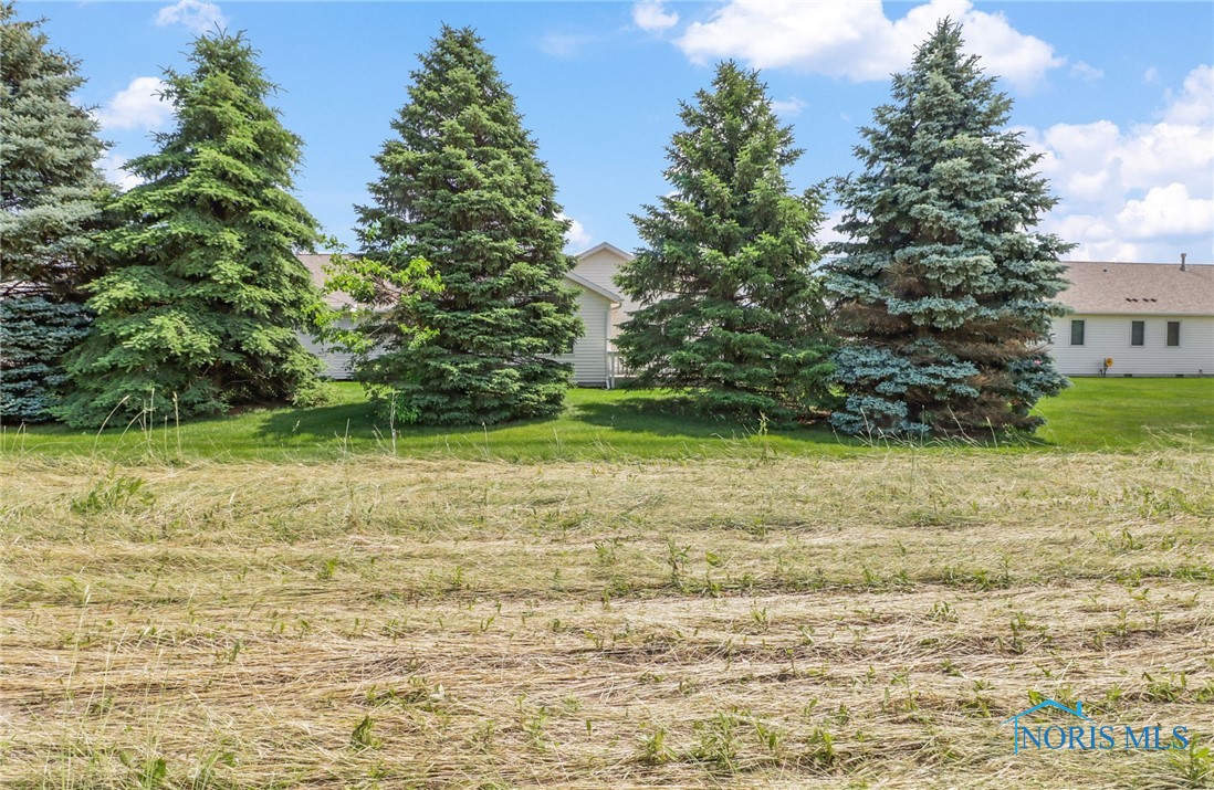 26347 W Wexford Drive, Perrysburg, Ohio image 33