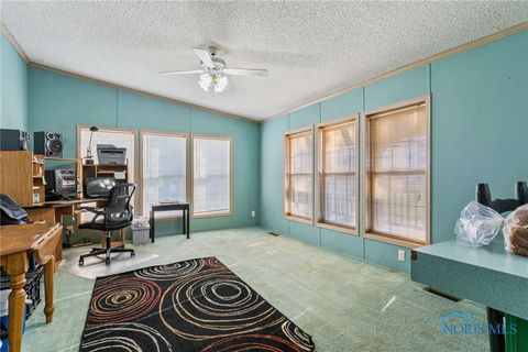 Tiny photo for 4134 County Road 203, McComb, OH 45858 (MLS # 6136620)