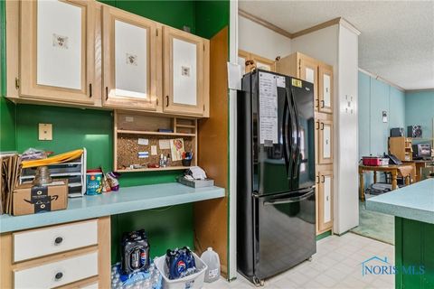 Tiny photo for 4134 County Road 203, McComb, OH 45858 (MLS # 6136620)