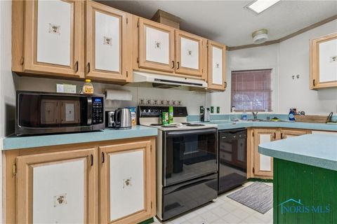 Tiny photo for 4134 County Road 203, McComb, OH 45858 (MLS # 6136620)