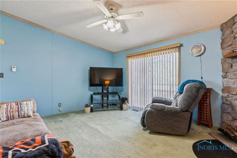 Tiny photo for 4134 County Road 203, McComb, OH 45858 (MLS # 6136620)