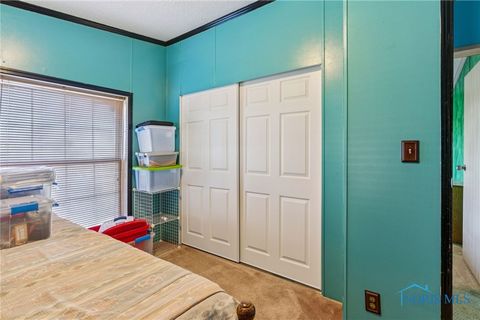 Tiny photo for 4134 County Road 203, McComb, OH 45858 (MLS # 6136620)