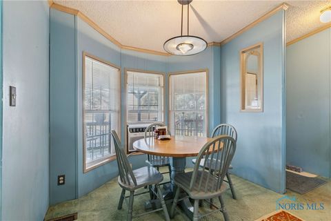 Tiny photo for 4134 County Road 203, McComb, OH 45858 (MLS # 6136620)