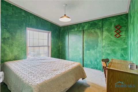 Tiny photo for 4134 County Road 203, McComb, OH 45858 (MLS # 6136620)