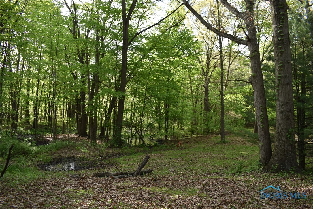 6044 County Road 2, Swanton, Ohio image 2