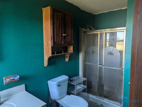 Tiny photo for 13136 Jerry City Road, Cygnet, OH 43413 (MLS # 6136619)