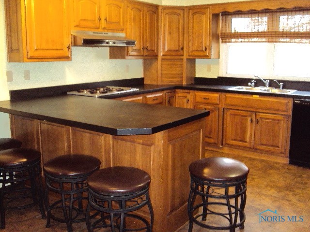 325 Park St. St, Bryan, Ohio image 3