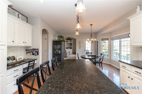 Tiny photo for 5821 Sweetgum Drive, Monclova, OH 43542 (MLS # 6135879)