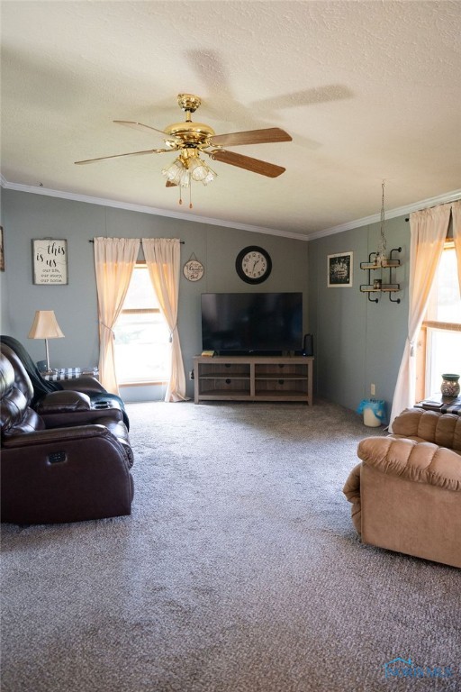 10778 County Highway 5